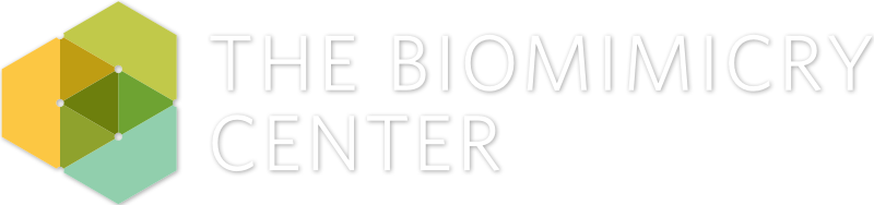 Logo for the Biomimicry Center at ASU
